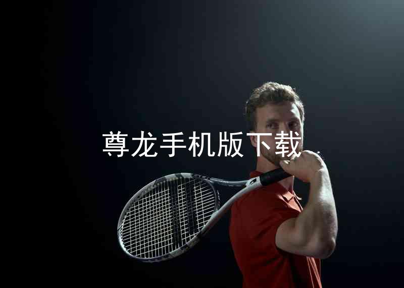 尊龙手机版下载