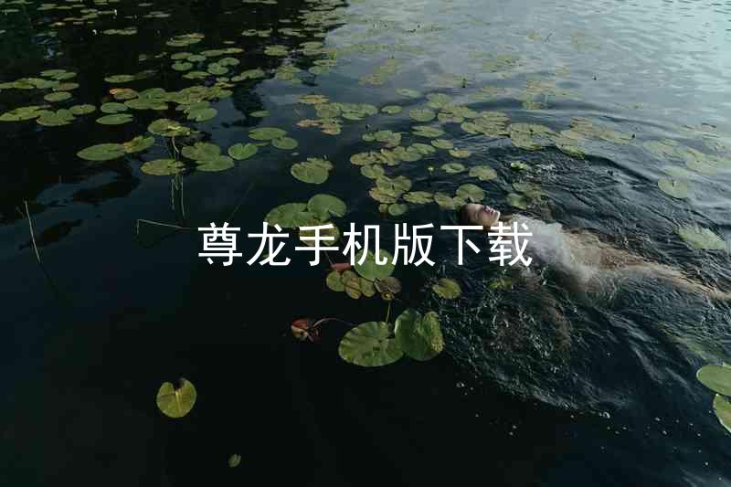 尊龙手机版下载