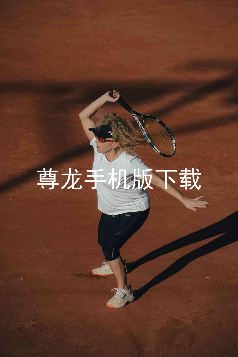 尊龙手机版下载